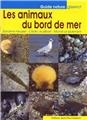 LES ANIMAUX DU BORD DE MER LES ANIMAUX DU BORD DE MER