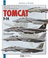 LE GRUMMAN F-14 TOMCAT  
