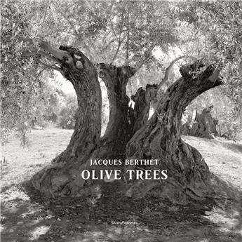 OLIVE TREES. JACQUES BERTHET