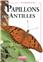 LES PAPILLONS DES ANTILLES