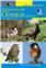 MÉMO : DICTIONNAIRE DES OISEAUX DE FRANCE