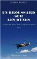 UN BROUSSARD SUR LES DUNES  
