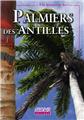 PALMIERS DES ANTILLES  