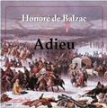 ADIEU (2 CD)  