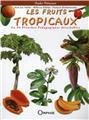 LES FRUITS TROPICAUX  