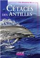 À LA DÉCOUVERTE DES... CÉTACÉS DES ANTILLES  