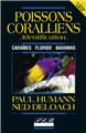 LES POISSONS CORALLIENS IDENTIFICATION LES POISSONS CORALLIENS IDENTIFICATION