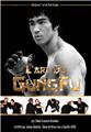 L'ART DU GUNGFU  