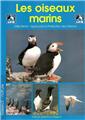 LES OISEAUX MARINS  