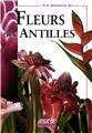 FLEUR DES ANTILLES  