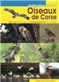 LES OISEAUX DE CORSE  