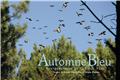 AUTOMNE BLEU : CHASSE À LA PALOMBE  