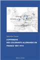 L´OFFENSIVE DES COLORANTS ALLEMANDS EN FRANCE 1881-1914 L´OFFENSIVE DES COLORANTS ALLEMANDS EN FRANCE 1881-1914