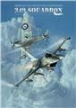 349 SQUADRON 349 SQUADRON