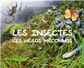 LES INSECTES, CES HÉROS MÉCONNUS  