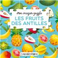 MON IMAGIER-PUZZLE : LES FRUITS DES ANTILLES  