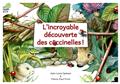 L´INCROYABLE DECOUVERTE DES COCCINELLES  