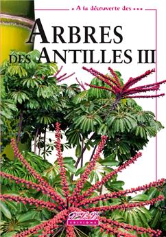 ARBRES DES ANTILLES III