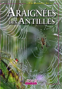 À LA DÉCOUVERTE DES... ARAIGNÉES DES ANTILLES