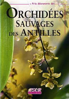 ORCHIDÉES SAUVAGES DES ANTILLES