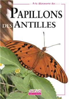 LES PAPILLONS DES ANTILLES