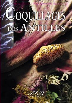 COQUILLAGES DES ANTILLES