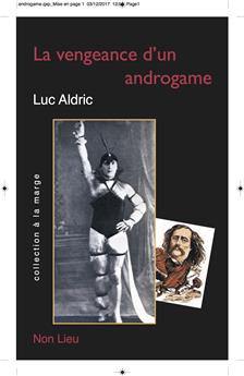 LA VENGEANCE D´UN ANDROGAME