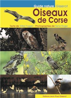 LES OISEAUX DE CORSE