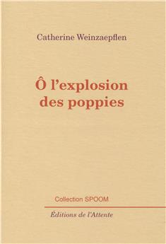 O L´EXPLOSION DES POPPIES
